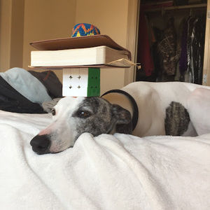 Meet your Posher, Adam